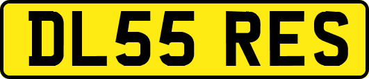 DL55RES