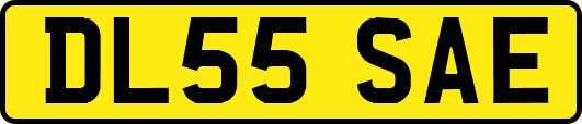 DL55SAE