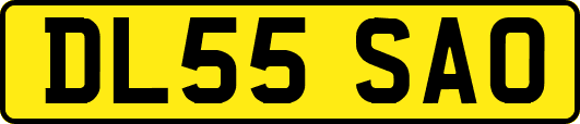 DL55SAO