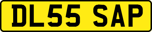 DL55SAP