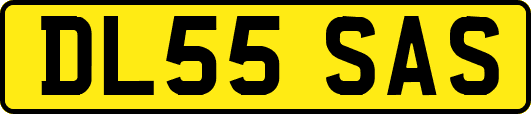 DL55SAS