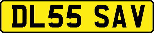DL55SAV