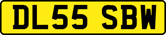 DL55SBW