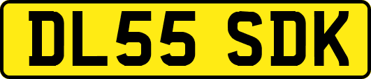 DL55SDK