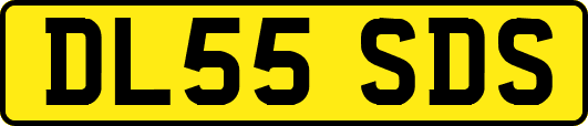 DL55SDS