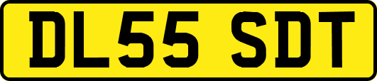 DL55SDT