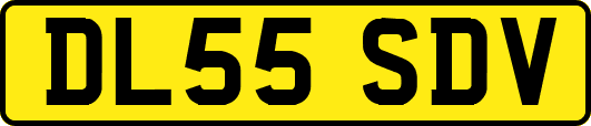 DL55SDV
