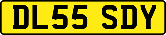 DL55SDY