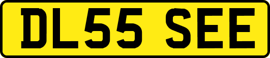 DL55SEE
