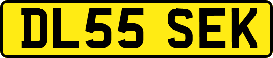 DL55SEK