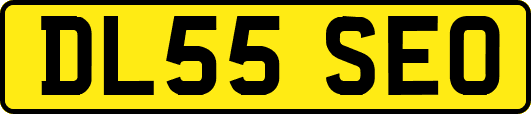 DL55SEO