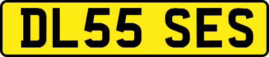 DL55SES