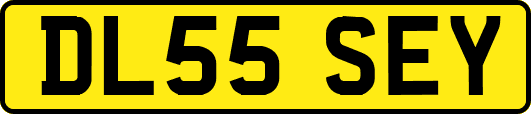 DL55SEY