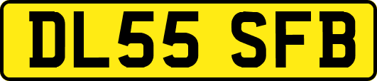 DL55SFB