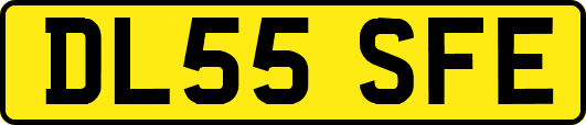 DL55SFE