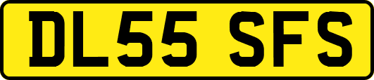 DL55SFS