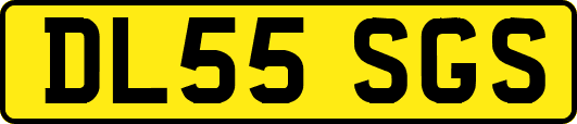 DL55SGS