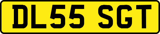 DL55SGT