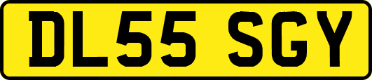 DL55SGY