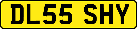 DL55SHY