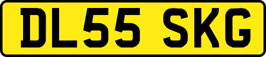 DL55SKG