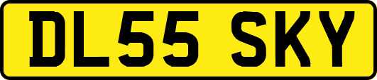 DL55SKY