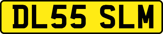 DL55SLM