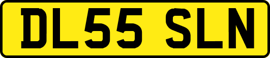 DL55SLN