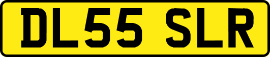 DL55SLR