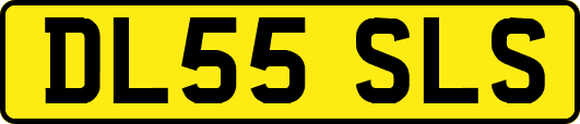 DL55SLS