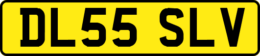 DL55SLV