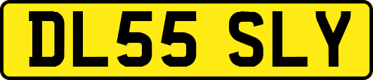 DL55SLY