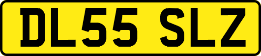 DL55SLZ