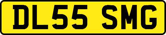 DL55SMG