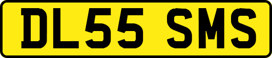 DL55SMS