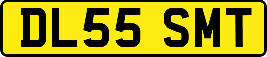 DL55SMT