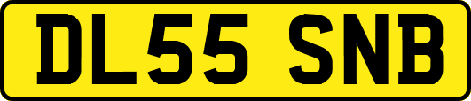 DL55SNB