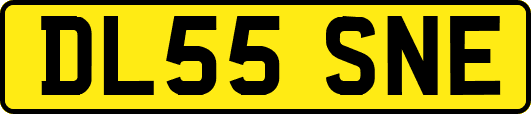 DL55SNE