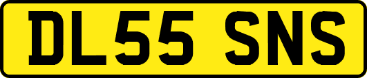 DL55SNS