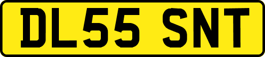DL55SNT