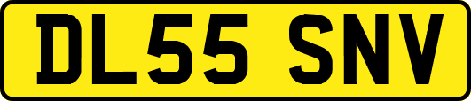 DL55SNV