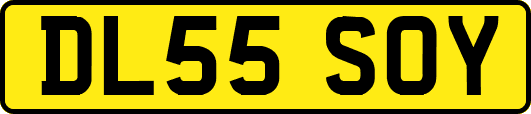 DL55SOY