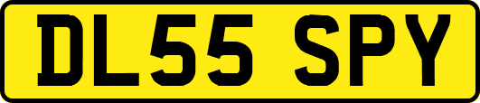 DL55SPY