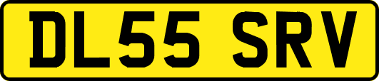 DL55SRV