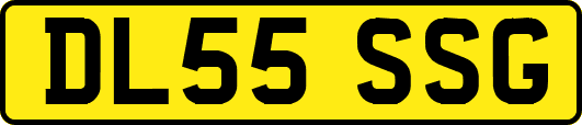 DL55SSG
