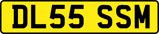 DL55SSM