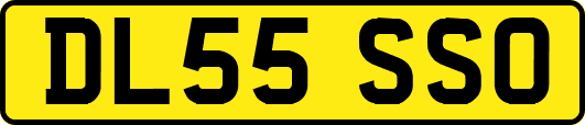 DL55SSO