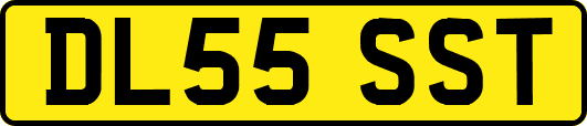 DL55SST