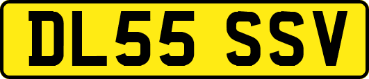 DL55SSV
