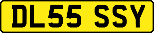 DL55SSY